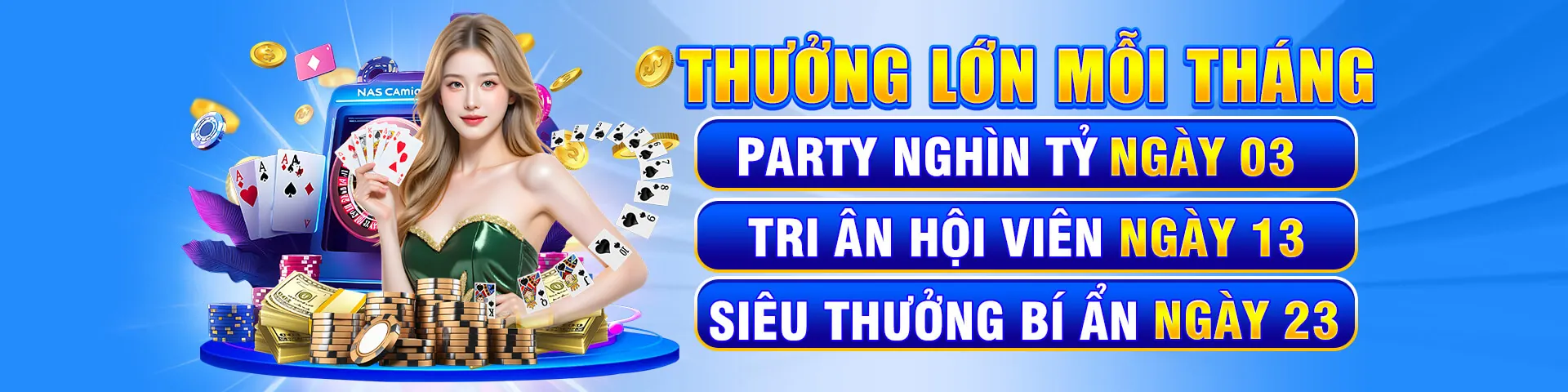 Biểu ngữ Chương trình VIP LC88