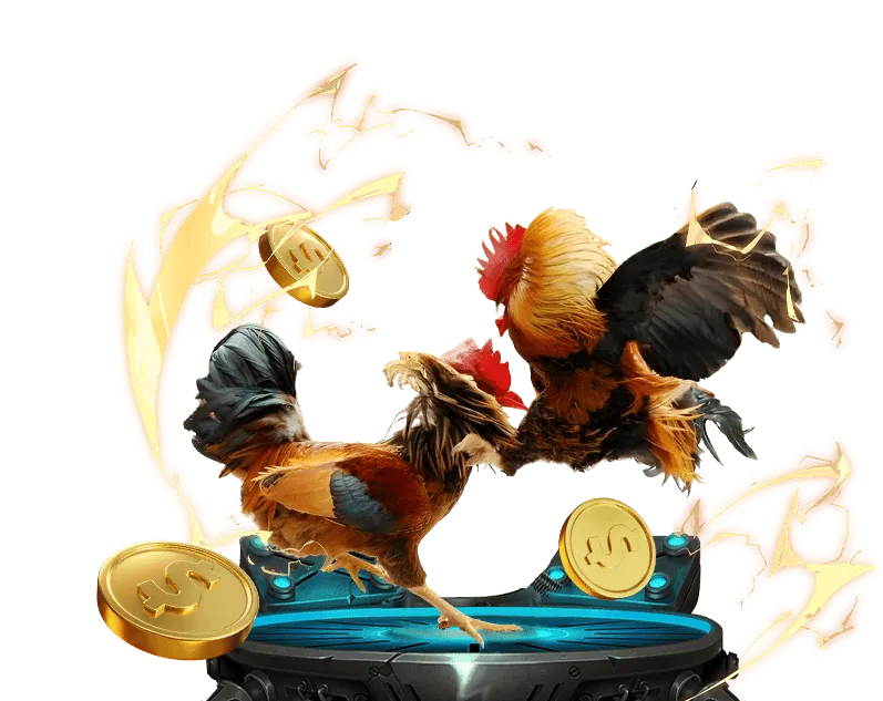 Tỷ lệ cược hấp dẫn